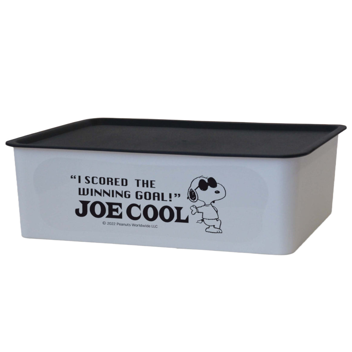 収納ボックス M 幅38×奥行27×高さ12cm スヌーピー コレクトBOX フタ