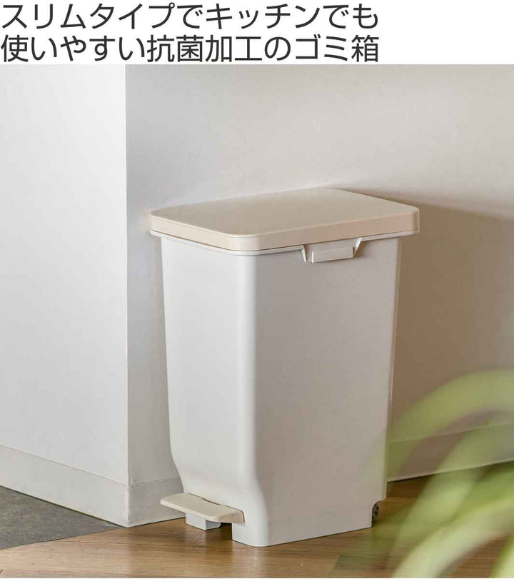 ゴミ箱19.7Lふた付きセパ抗菌分別スリムペダルペール