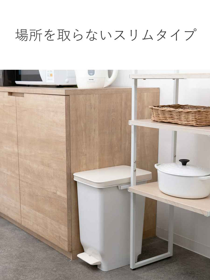 ゴミ箱19.7Lふた付きセパ抗菌分別スリムペダルペール