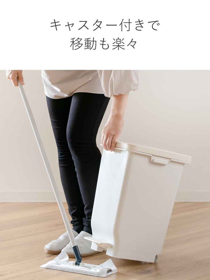 ゴミ箱19.7Lふた付きセパ抗菌分別スリムペダルペール