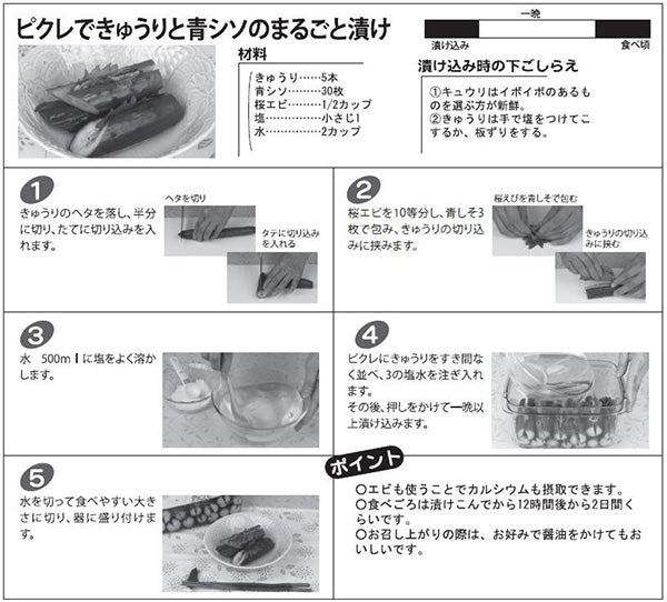 漬物容器即席つけもの器角型2.2LプラスチックPicreピクレ