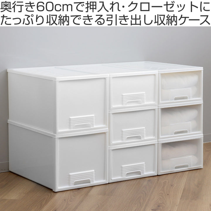 収納ケースクローゼット浅型ファインテナー幅36×奥行60×高さ21.5cm