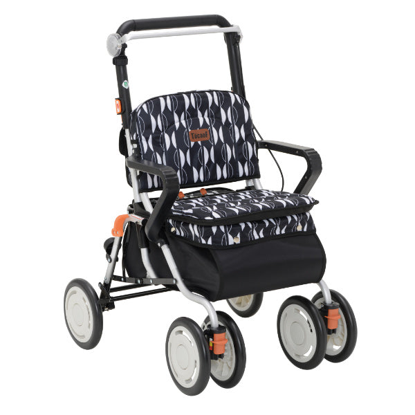 シルバーカースタンダードタイプレコルティ2