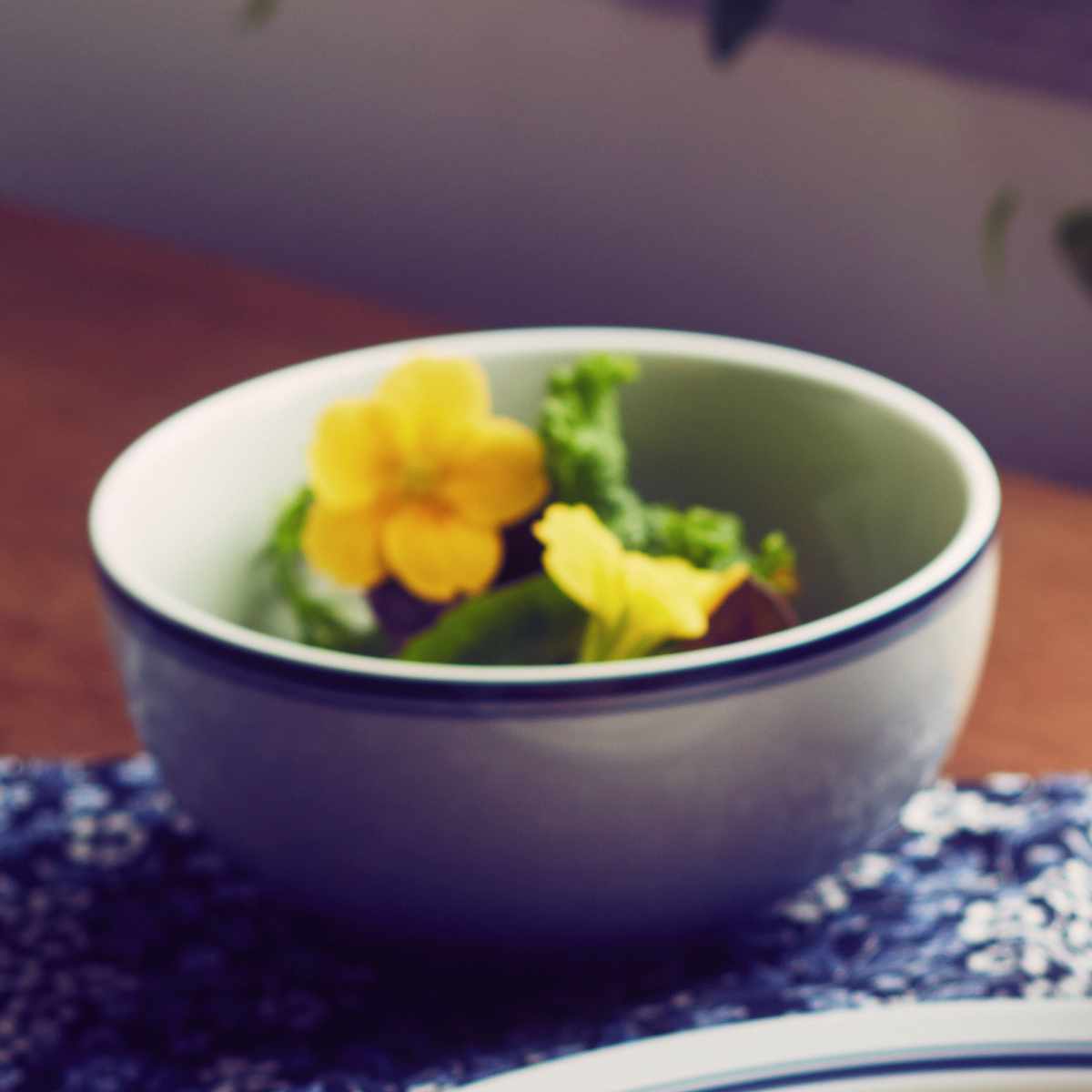 ダンスク DANSK シリアルボウル 13cm ビストロ 洋食器 – ハウジー