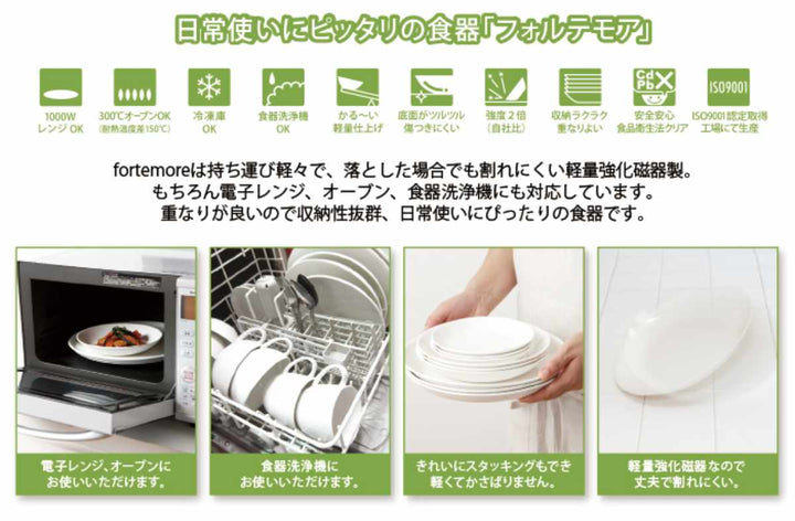 プレート24cmフォルテモアfortemore強化磁器