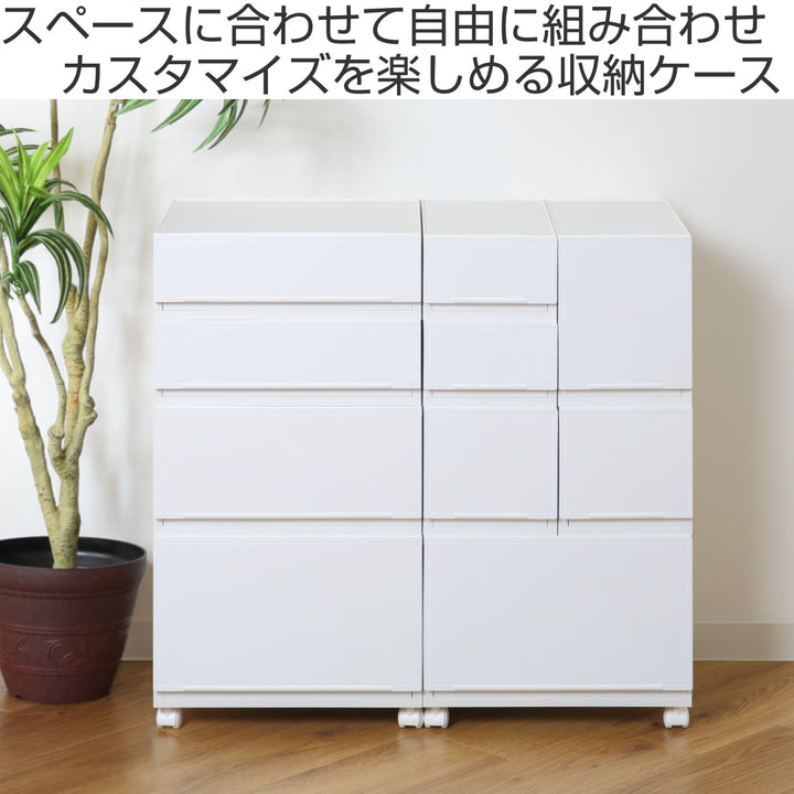 収納ケース幅18.8×奥行35.8×高さ12.6cmコレクトケースSスリム1段squ＋