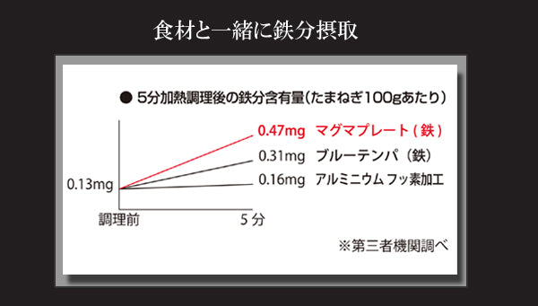 両手天ぷら鍋匠鉄製（マグマプレート）天ぷら鍋段付き24cmIH対応