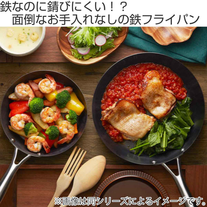 VitaCraftエッグパンIH対応鉄製スーパー鉄