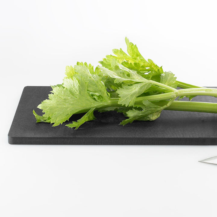 まな板EAトCOItaカッティングボードロング樹脂製日本製