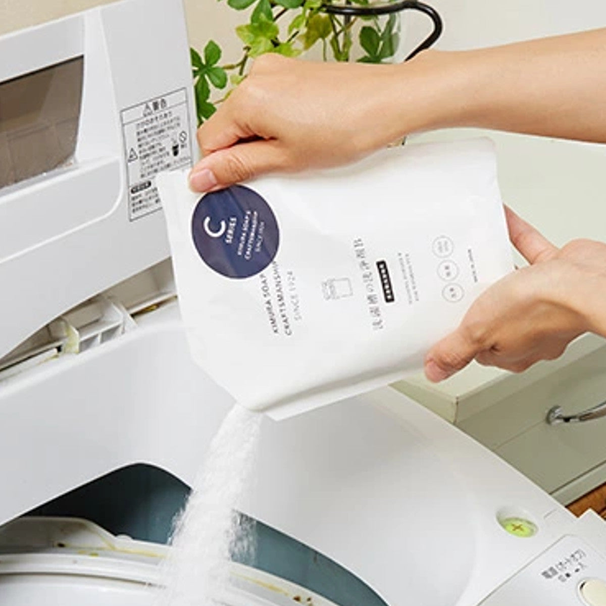 洗濯槽の洗浄剤B 全自動洗濯機用 300g クラフトマンシップ 木村石鹸