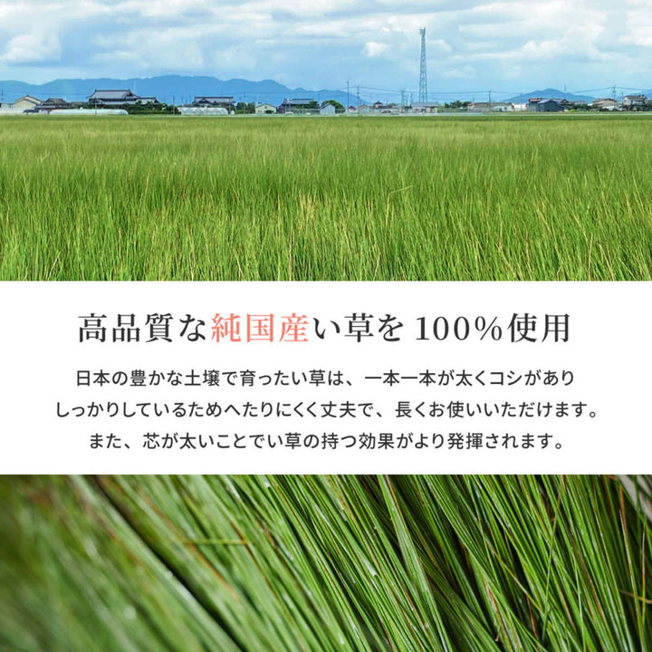 ラグい草ラグ191×191cm日本製滑り止め約2畳薄手ござ裏貼りエルモードブルー