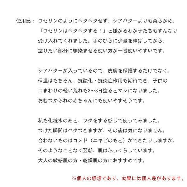 地の塩社バーム20gCS全身バームベビー