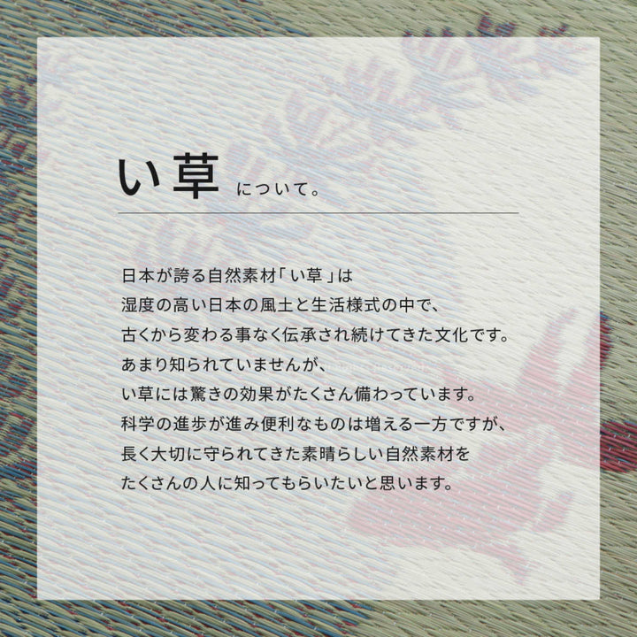 ラグい草ラグ176×176cm約2畳薄手ござ裏貼り涼水