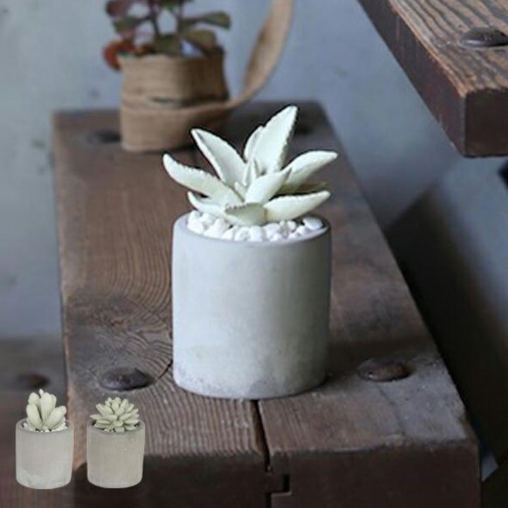 ディフューザーダルトンDULTONアロエフレグランスディフューザー多肉植物アロエ