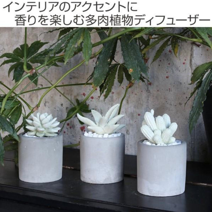 ディフューザーダルトンDULTONアロエフレグランスディフューザー多肉植物アロエ