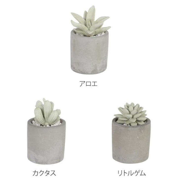 ディフューザーダルトンDULTONアロエフレグランスディフューザー多肉植物アロエ