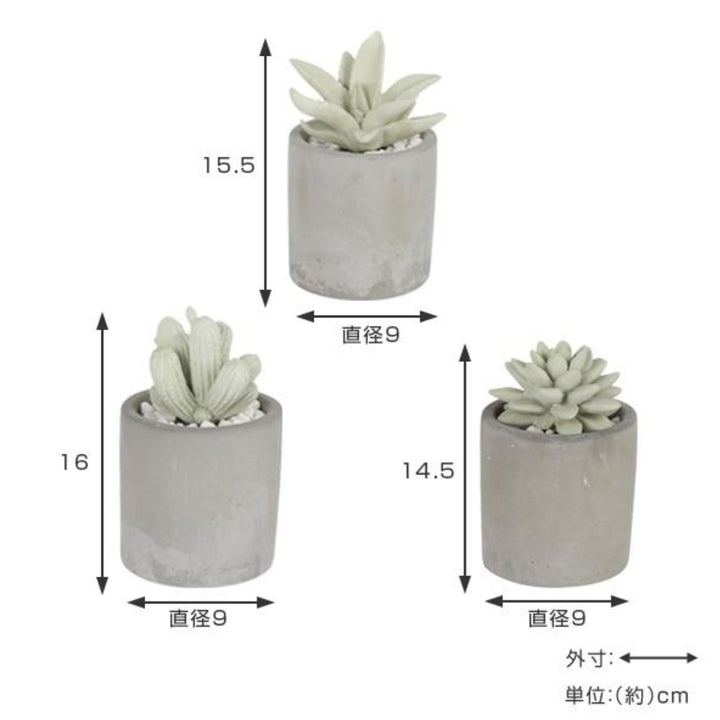 ディフューザーダルトンDULTONアロエフレグランスディフューザー多肉植物アロエ