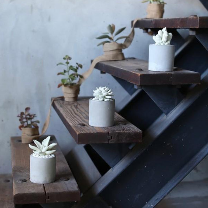 ディフューザーダルトンDULTONアロエフレグランスディフューザー多肉植物アロエ