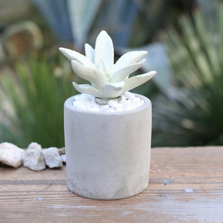 ディフューザーダルトンDULTONアロエフレグランスディフューザー多肉植物アロエ