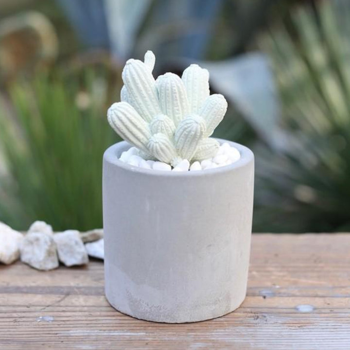 ディフューザーダルトンDULTONアロエフレグランスディフューザー多肉植物アロエ