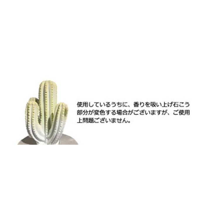 ディフューザーダルトンDULTONアロエフレグランスディフューザー多肉植物アロエ