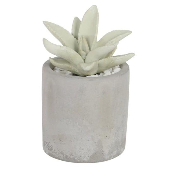 ディフューザーダルトンDULTONアロエフレグランスディフューザー多肉植物アロエ