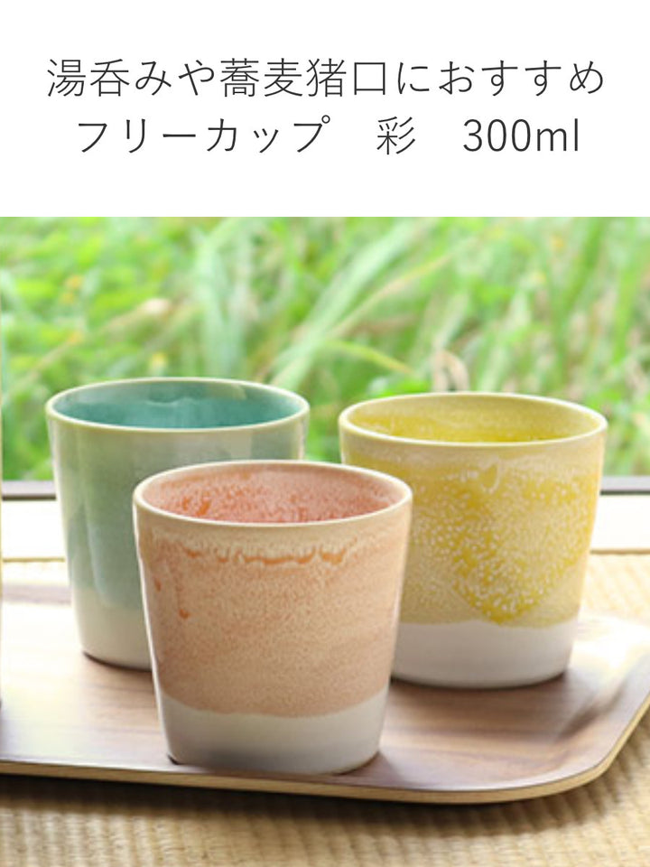 フリーカップ300ml彩カップボウル陶器信楽焼日本製