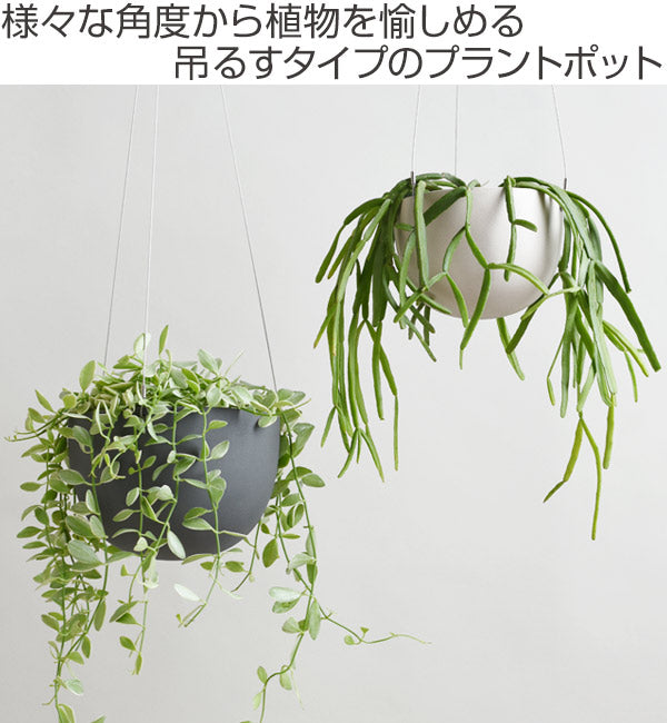 キントー植木鉢プラントポット14cm