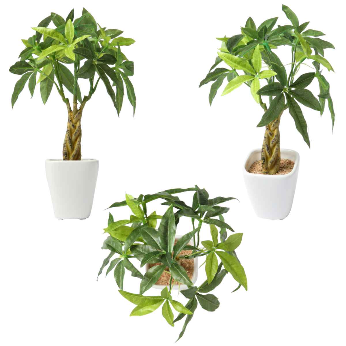 人工観葉植物 パキラ 27cm 観葉植物 造花 光触媒 – ハウジー