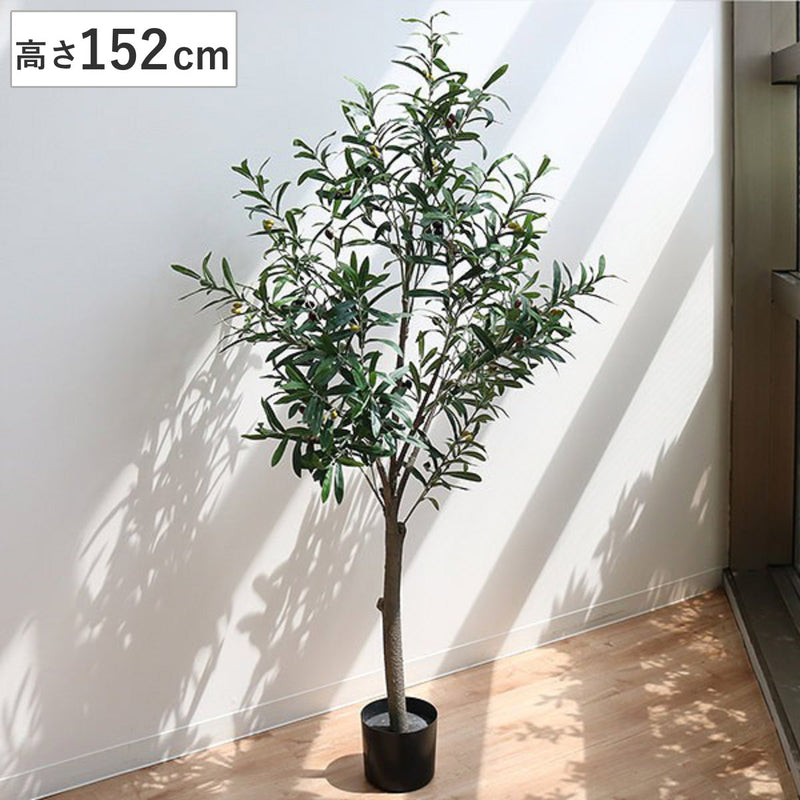 人工観葉植物 オリーブ 152cm フェイクグリーン 造花