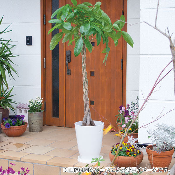 ガーデニングプランター丸型高さ32.5cm