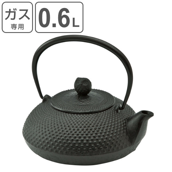 鉄瓶満水容量0.6L宝寿南部鉄瓶やかんケトル