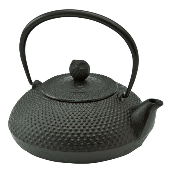 鉄瓶満水容量0.6L宝寿南部鉄瓶やかんケトル