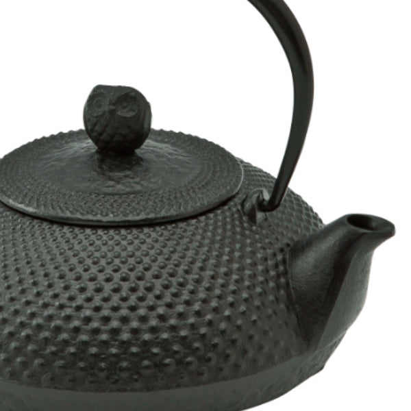 鉄瓶満水容量0.6L宝寿南部鉄瓶やかんケトル