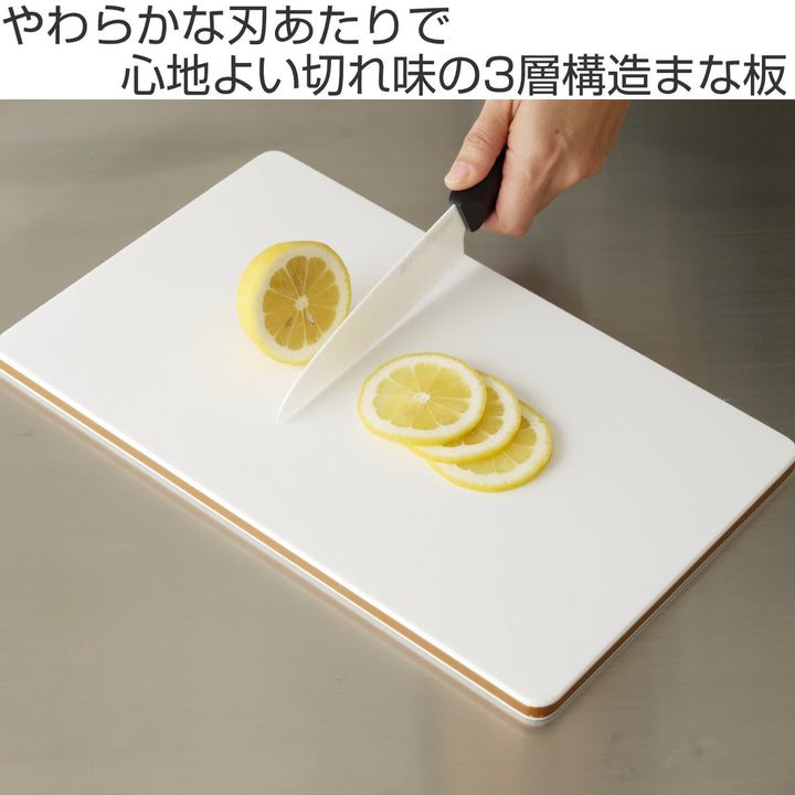 まな板L25×40cmエラストマー食洗機対応やわらか耐熱抗菌まな板やわらか逸品