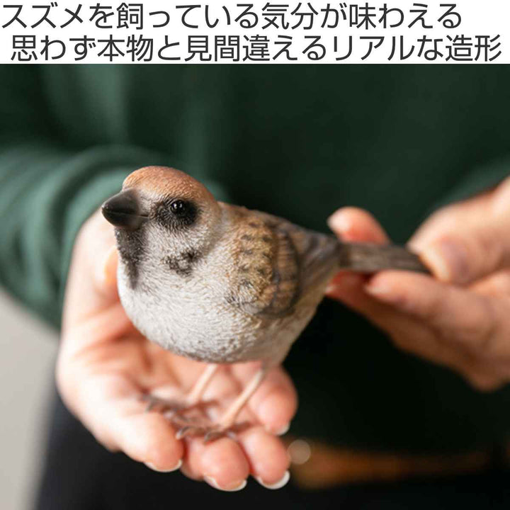 オブジェBIRDIEBILLスズメマグネット付き