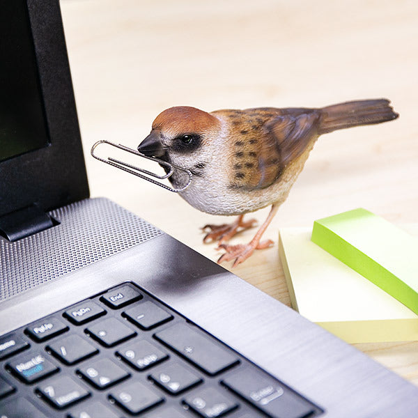 オブジェBIRDIEBILLスズメマグネット付き