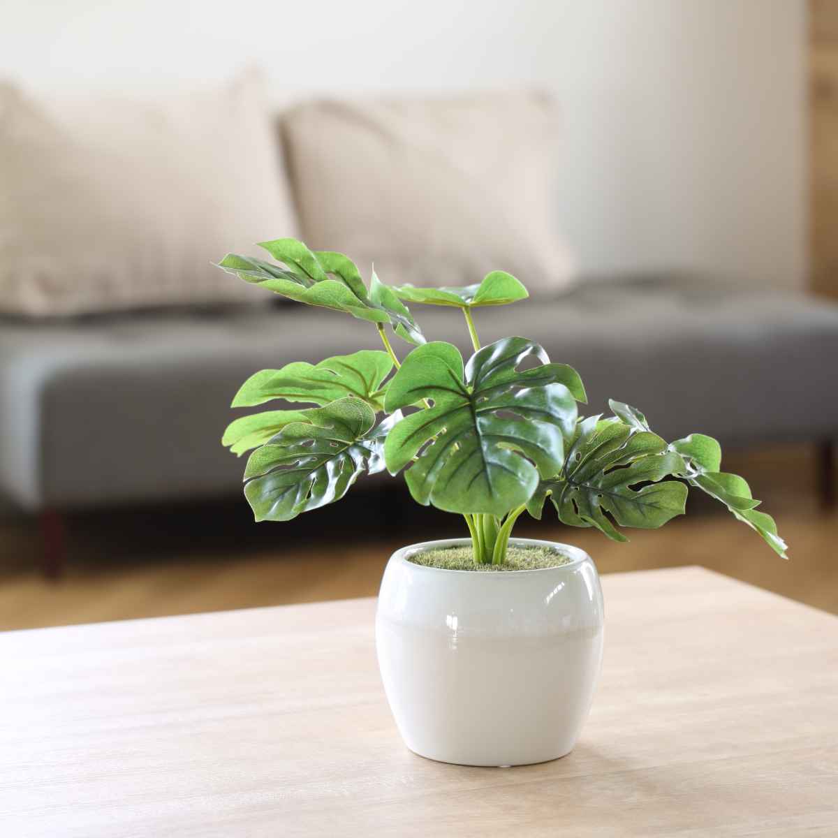 光触媒　人工観葉植物　ウォールグリーン　フェイクグリーン　ヒメモンステラヘゴ90 光触媒 人工観葉植物 ウォールグリーン フェイクグリーン ヒメ