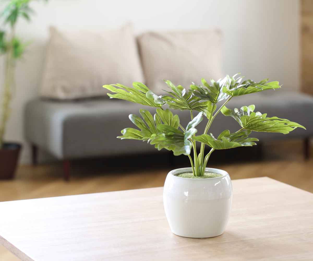 【ACTUSポット付き】フィロデンドロン 人工観葉植物　約80センチ 人工観葉植物 ポット フィロデンドロン フェイクグリーン 光触媒 造花