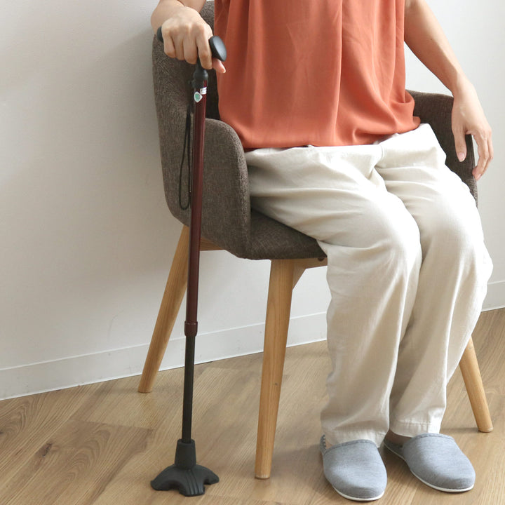 杖ステッキカルガモE4点DX伸縮男性女性自立式