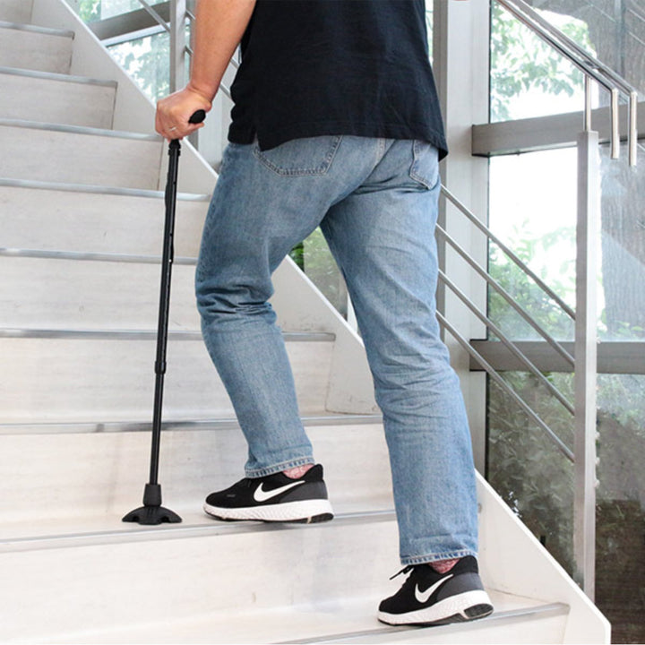 杖ステッキカルガモE4点DX伸縮男性女性自立式