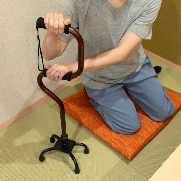 杖自立式2段型4点杖ブラウン