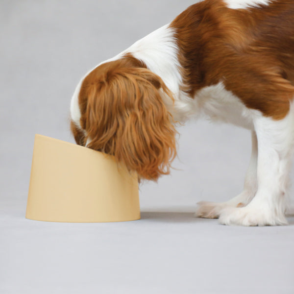 ペット食器撥水ペット容器PeDISH1電子レンジ対応犬イヌ