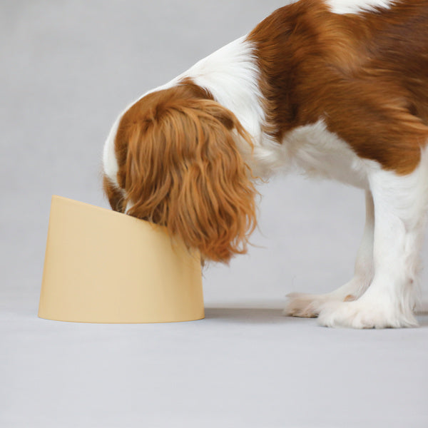 ペット食器撥水ペット容器PeDISH1電子レンジ対応犬イヌ