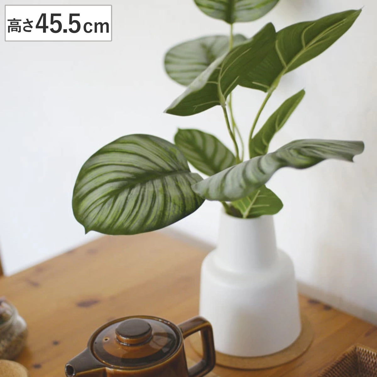 フェイクグリーン カラテア L 人工観葉植物 エクリア – ハウジー