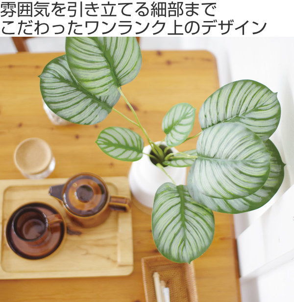 フェイクグリーンカラテアL人工観葉植物エクリア