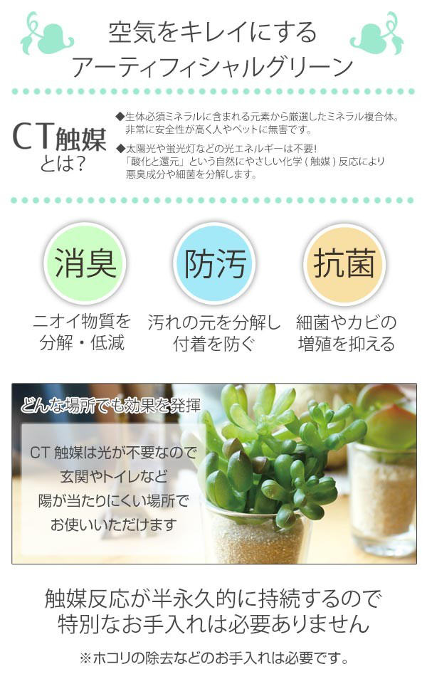 フェイクグリーンカラテアL人工観葉植物エクリア