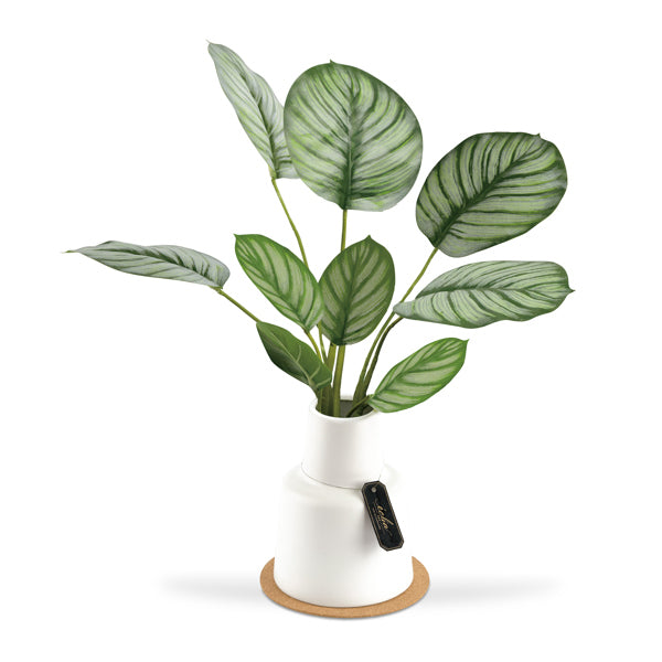 フェイクグリーン カラテア L 人工観葉植物 エクリア – ハウジー