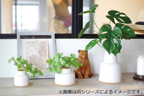 フェイクグリーンカラテアL人工観葉植物エクリア