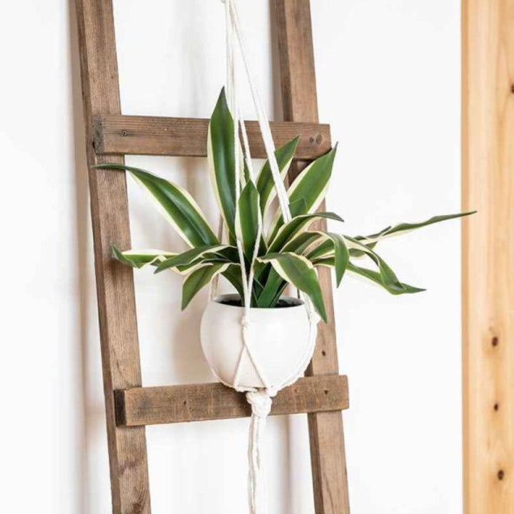 フェイクグリーンドラセナエクリアハンギング